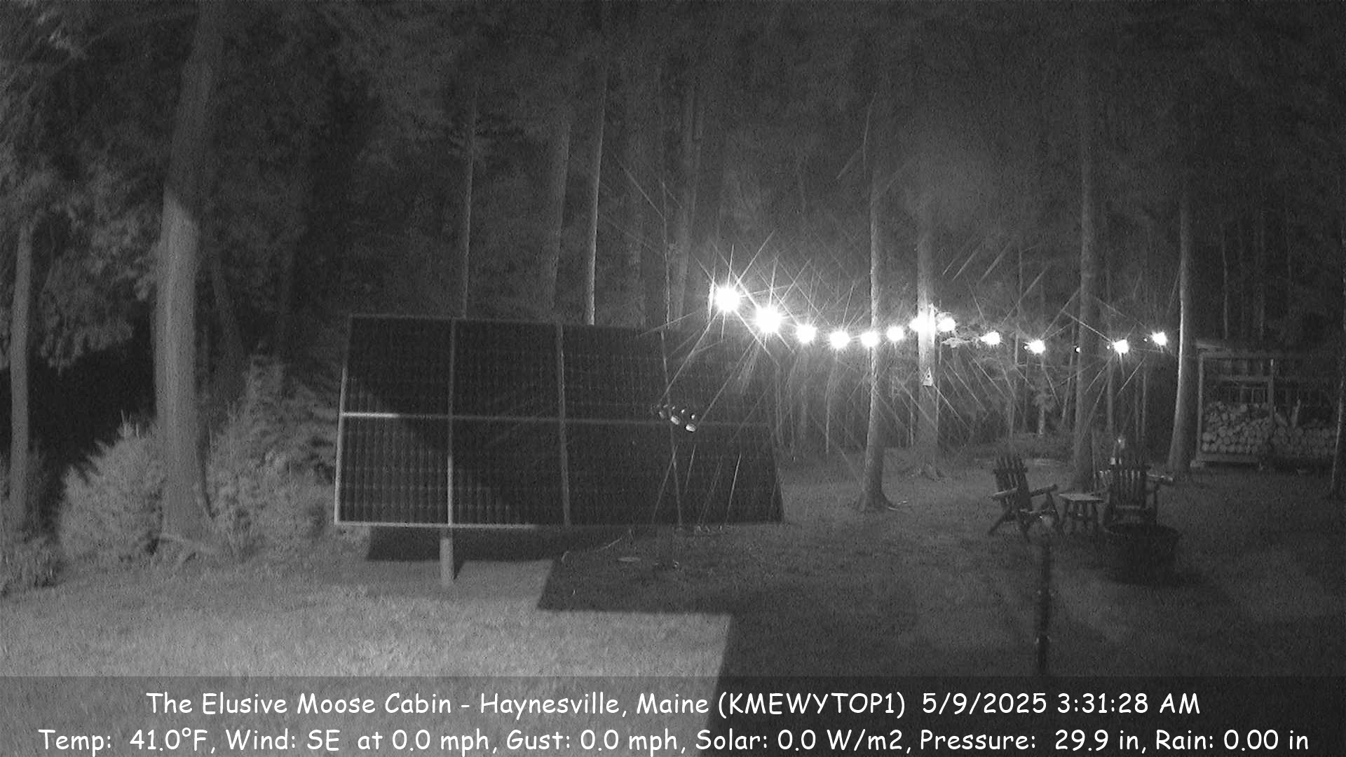 Elusive Moose Cabin Cabin Camera