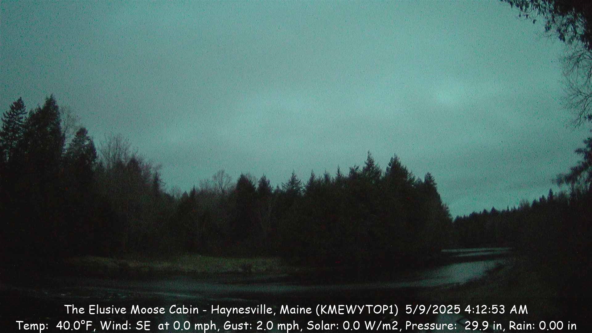 Elusive Moose Cabin River Camera